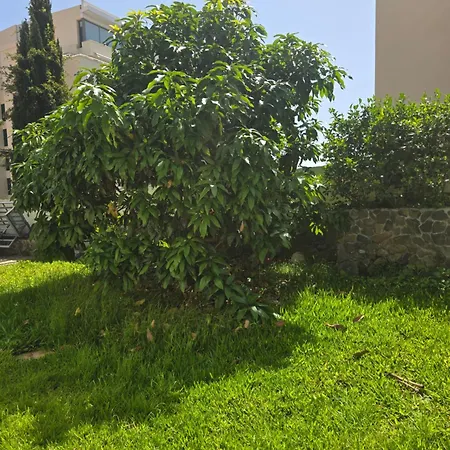 Dom wakacyjny Madeira Paradise Funchal (Madeira)